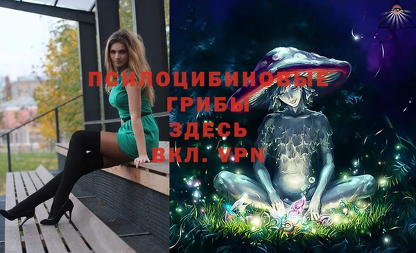 прущий лед Белоозёрский