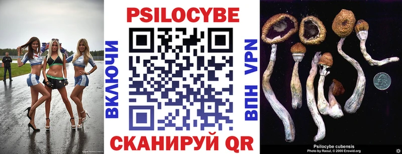 Галлюциногенные грибы Psilocybine cubensis  Беломорск 